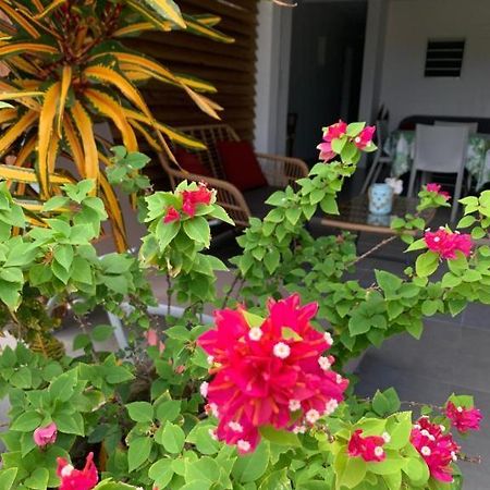 Le Tropical Appartement 1 Ou 2 Chambres Les Anses-d'Arlet Zewnętrze zdjęcie