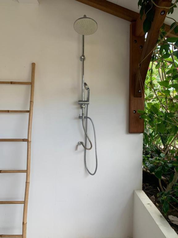 Le Tropical Appartement 1 Ou 2 Chambres Les Anses-d'Arlet Zewnętrze zdjęcie